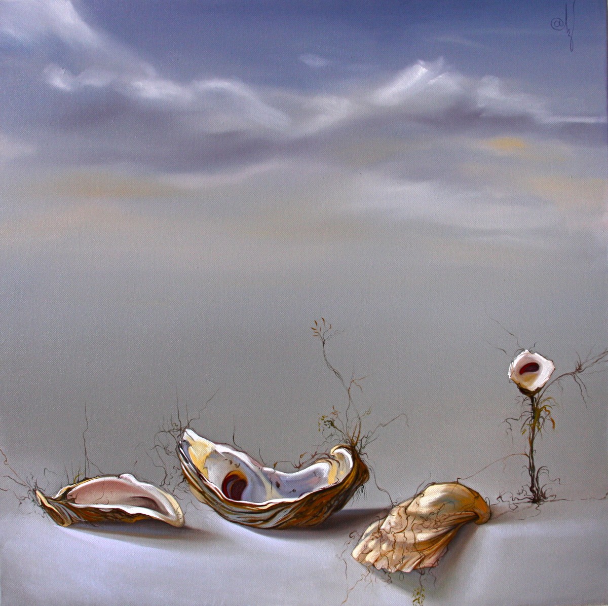 Oyster Bloom