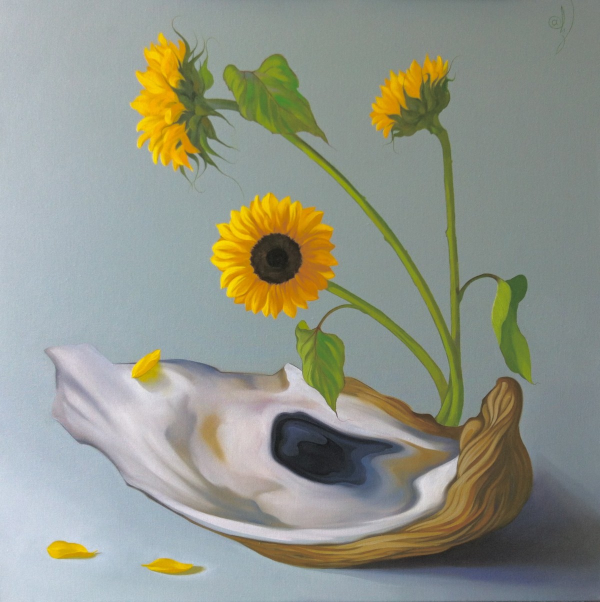 Oysters With Sunflowers
